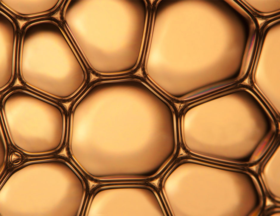 Beyond Diabetes: How Metformin Lowers Copper, Iron, and Zinc