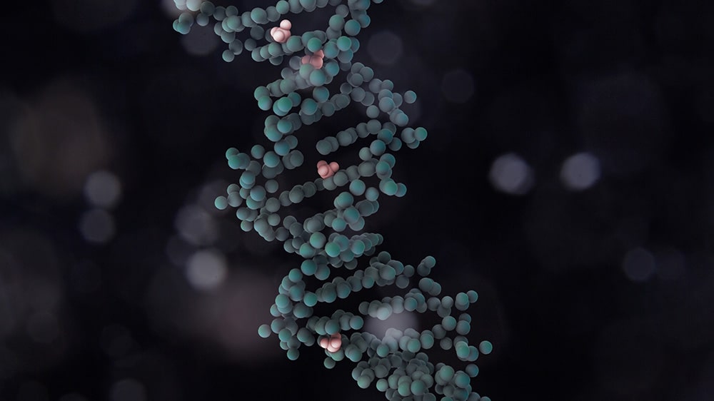 How Methylation Works