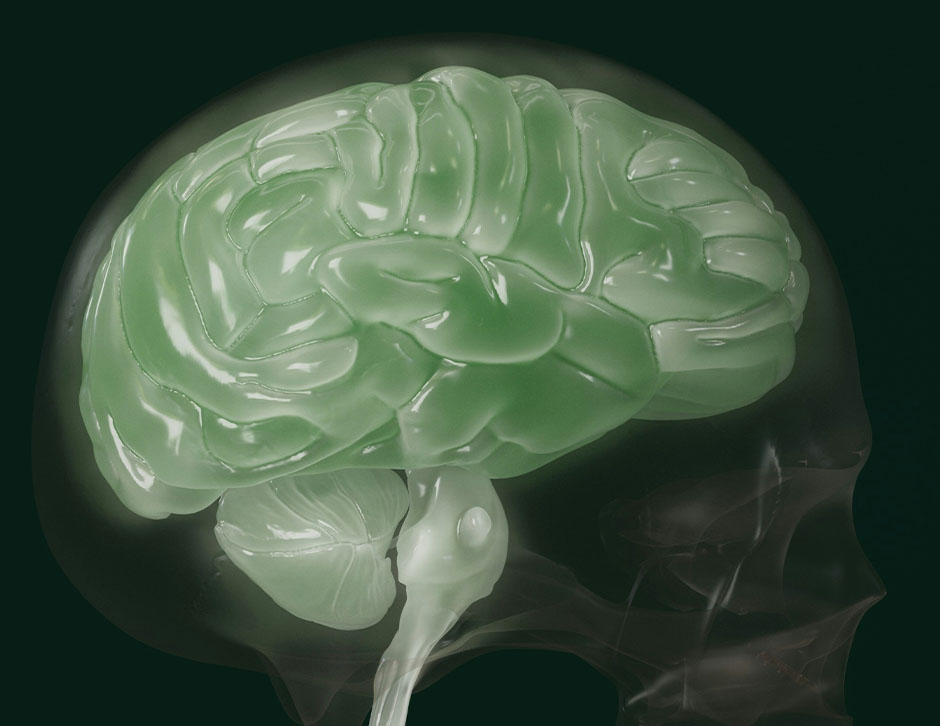 How to Measure Organ Age