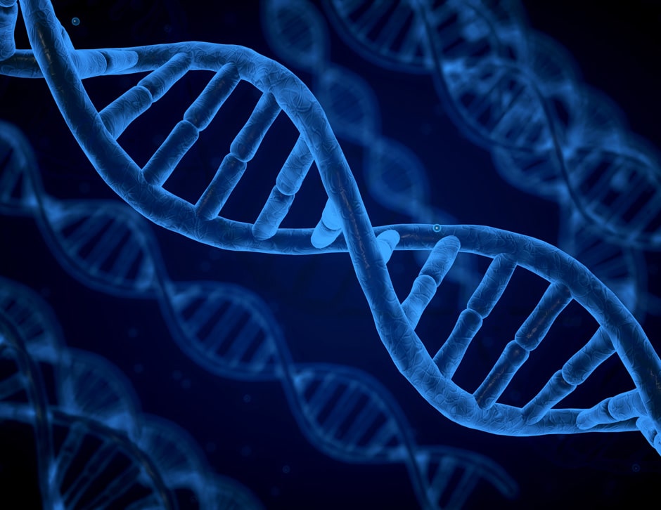 Epigenetic Modifications & How to Change Them